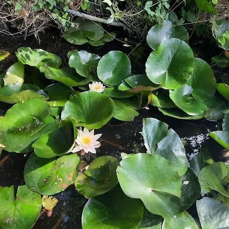 I Soffioni Apartamento *